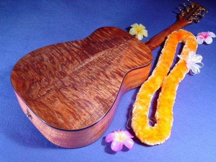Wahine Guitars — view 23