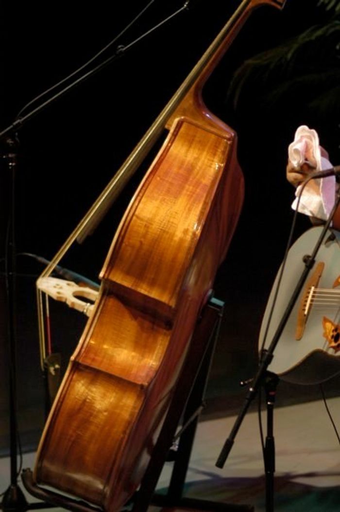 Koa Bass — view 2