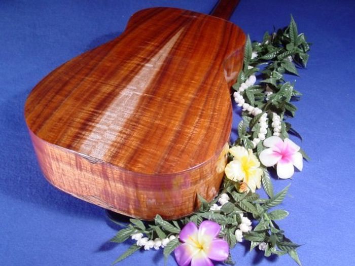 Wahine Guitars — view 21