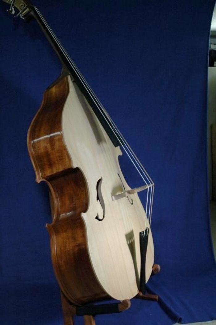 Koa Bass — view 8