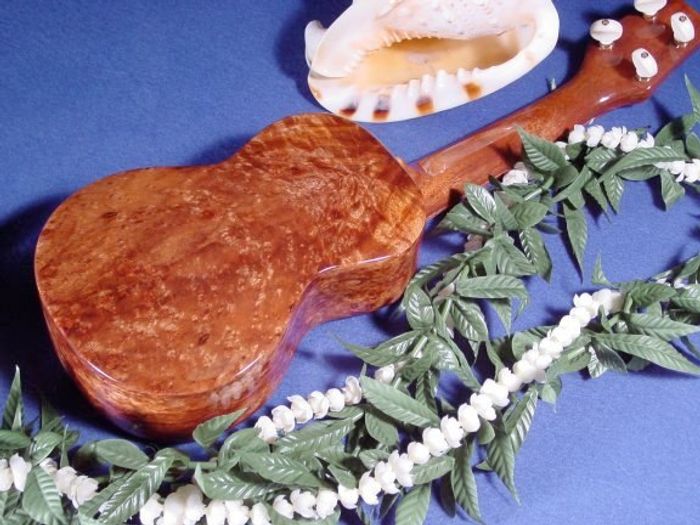 Standard Ukuleles — view 24