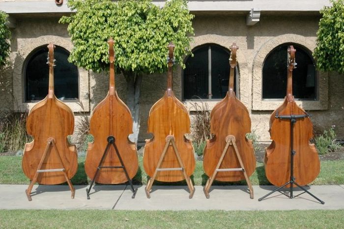 Koa Bass — view 11