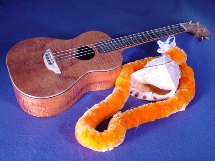 Baritone Ukuleles — view 3