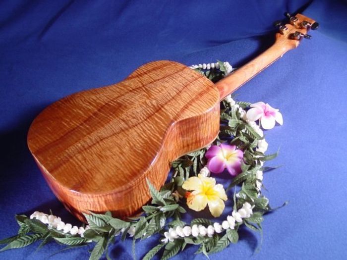 Baritone Ukuleles — view 9