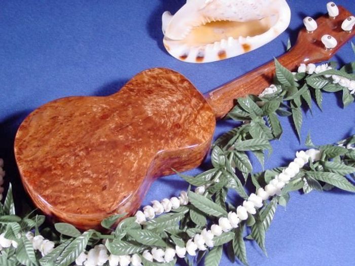 Standard Ukuleles — view 22