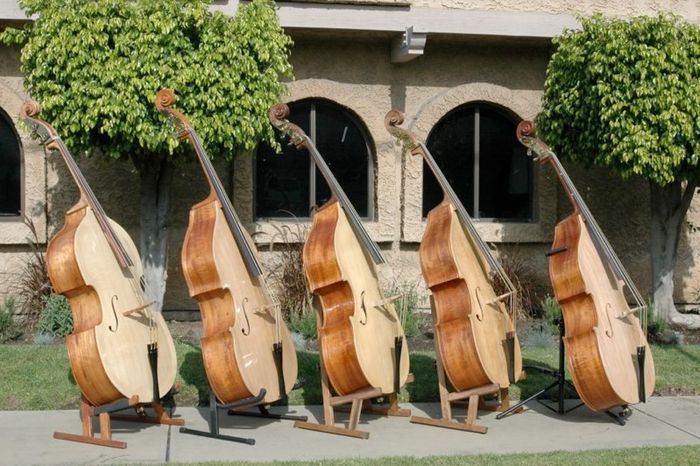 Koa Bass — view 6