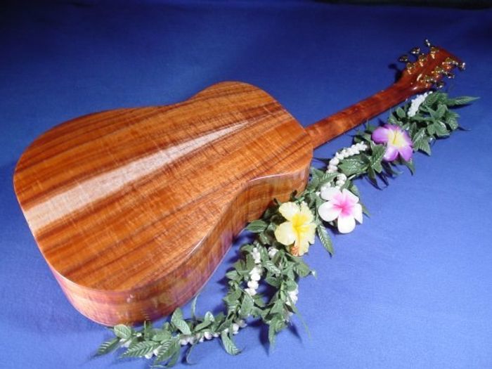 Wahine Guitars — view 19