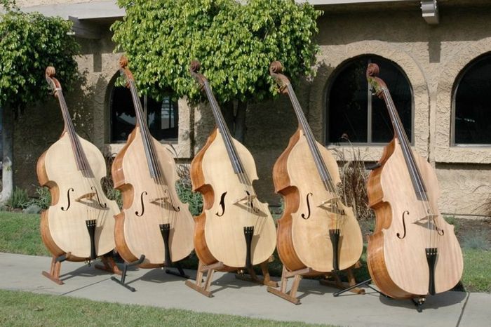 Koa Bass — view 9