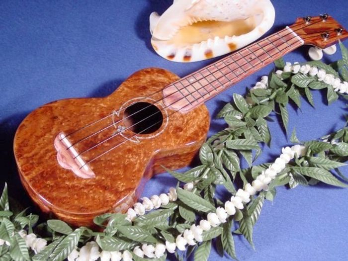 Standard Ukuleles — view 23
