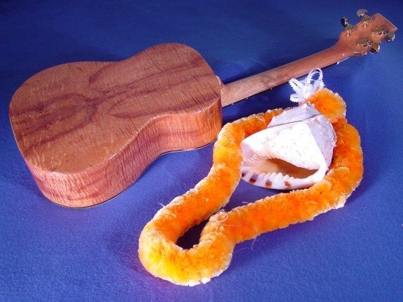 Baritone Ukuleles