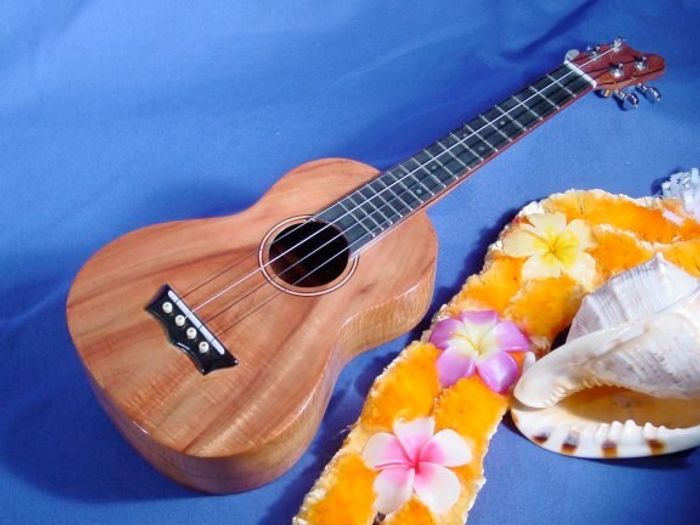 Tenor Ukuleles — view 14