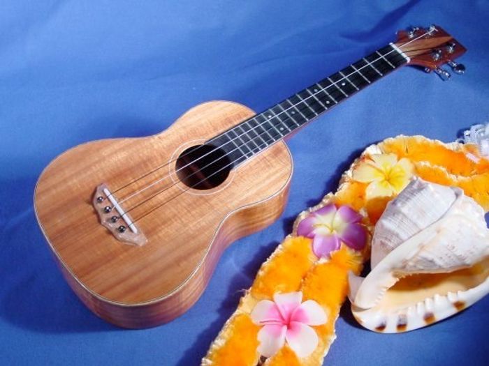 Tenor Ukuleles — view 32