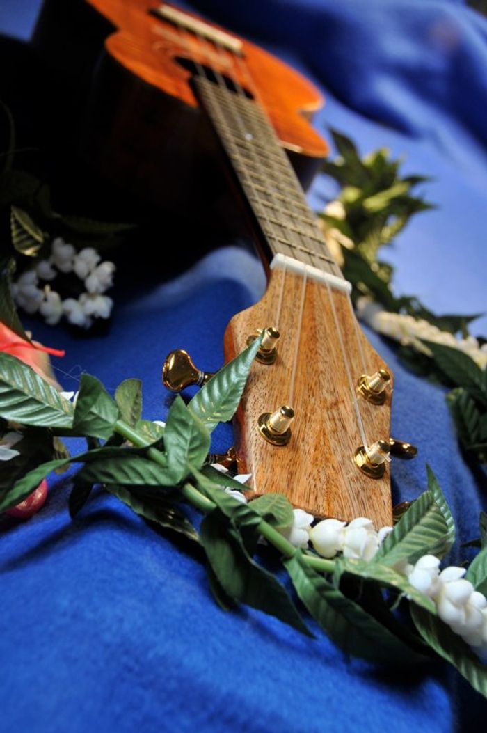 Tenor Ukuleles — view 62