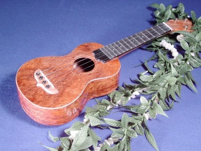 Standard Ukuleles — view 21