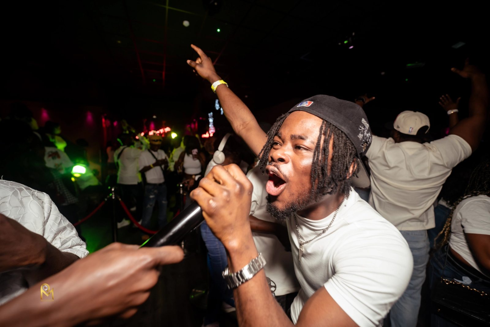 Parties — photo 21