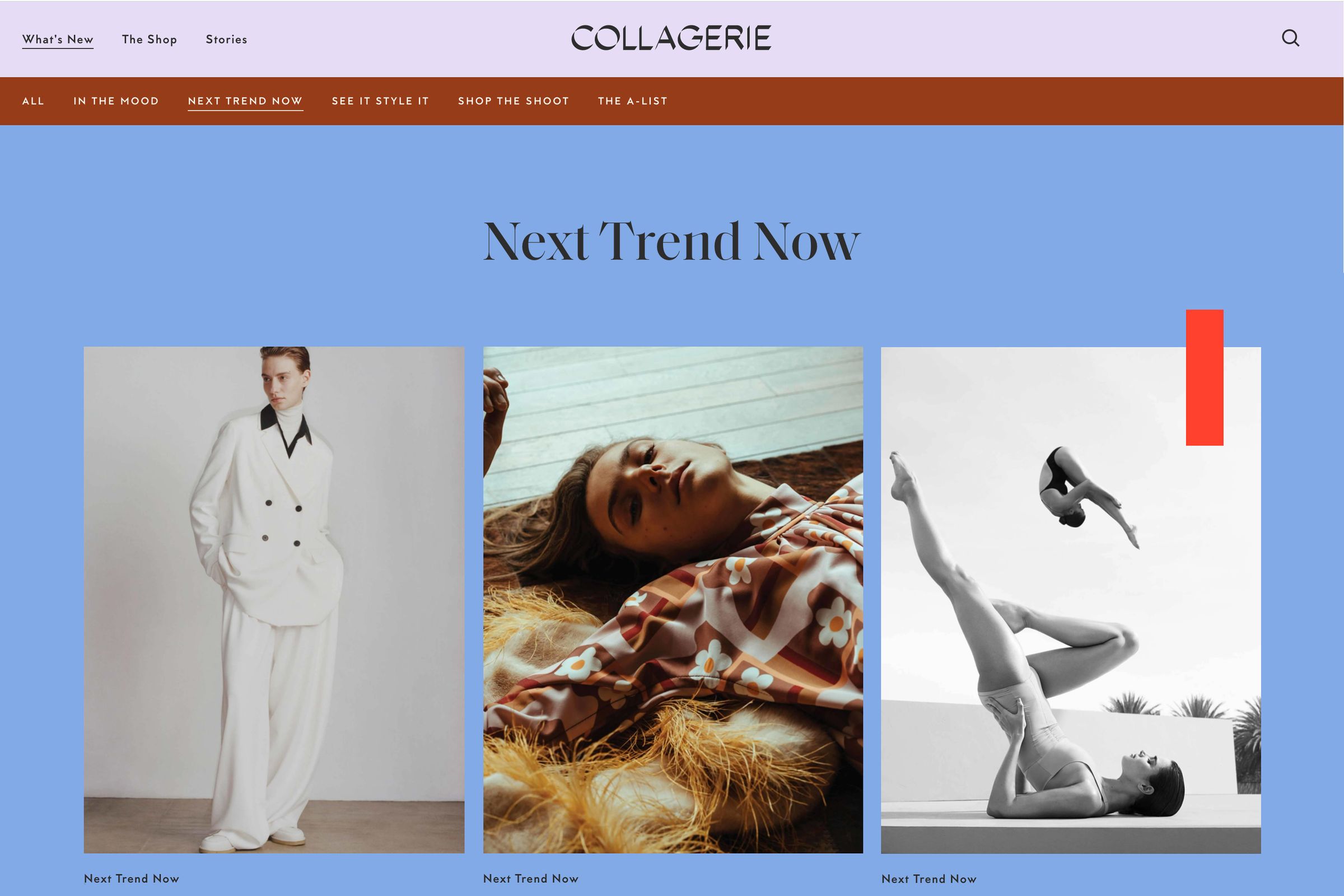 Collagerie website Next Trend Now