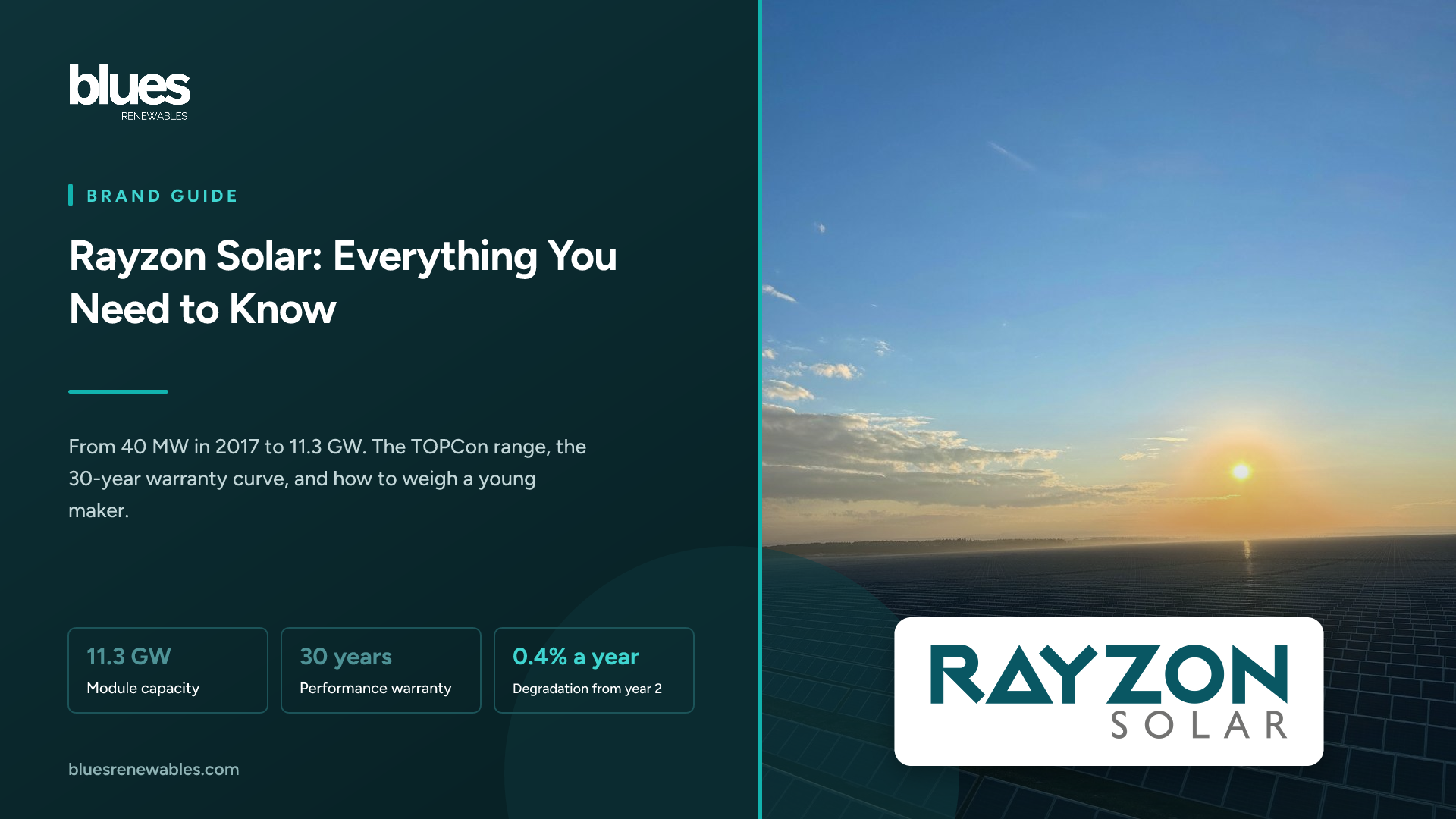 Rayzon Solar logo over a photograph of a utility-scale solar farm at sunrise