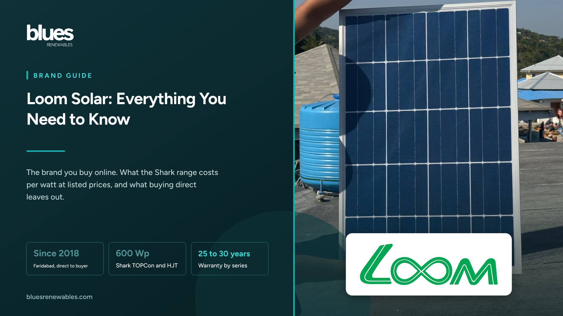 Loom Solar logo over a photograph of a person carrying a single new solar panel across a sunny home rooftop