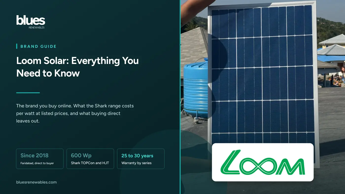Loom Solar logo over a photograph of a person carrying a single new solar panel across a sunny home rooftop