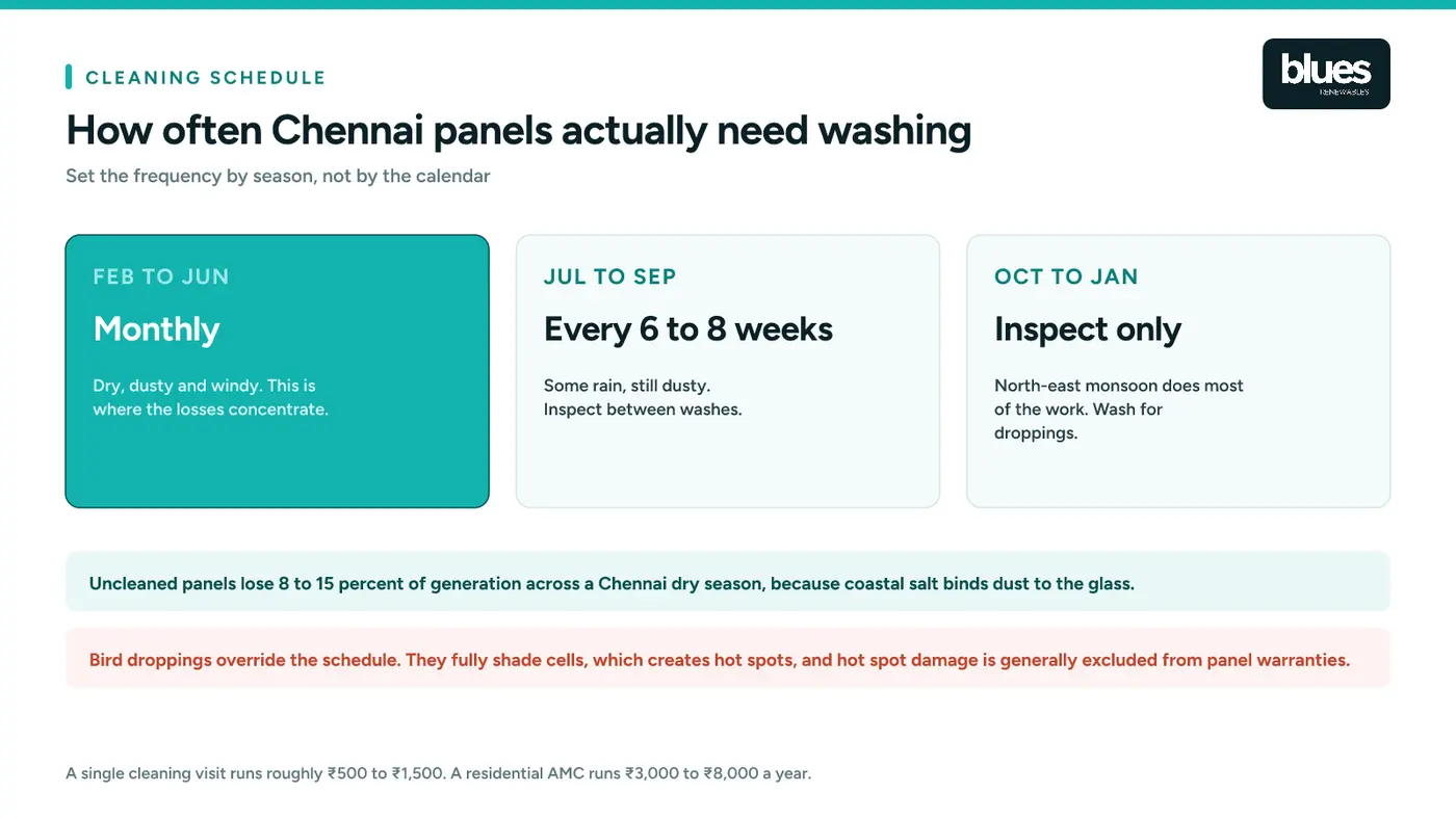 Solar panel cleaning frequency for Chennai by season: monthly from February to June, every six to eight weeks from July to September, inspection only during the north-east monsoon
