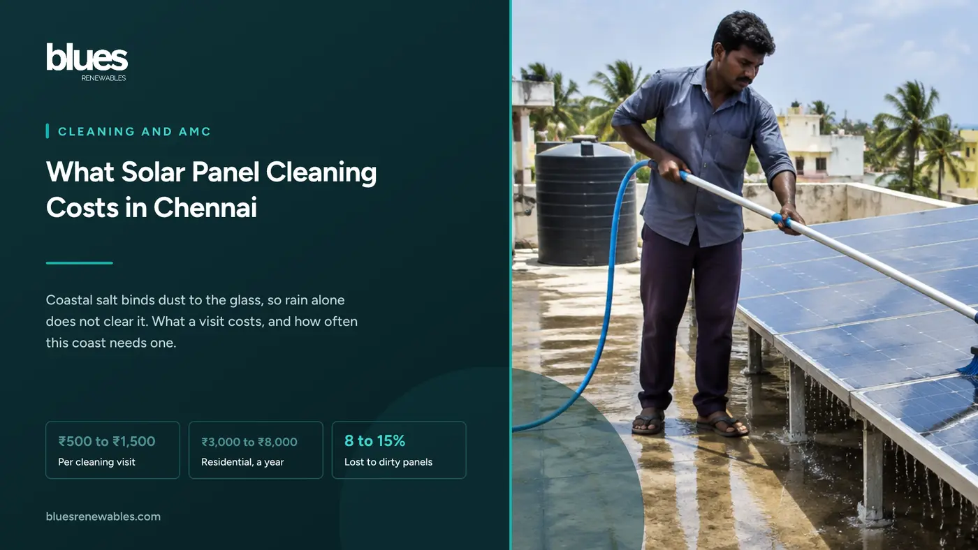 Solar technician washing rooftop solar panels with a long handled brush and hose on a Chennai terrace, with the coastline and palm trees behind