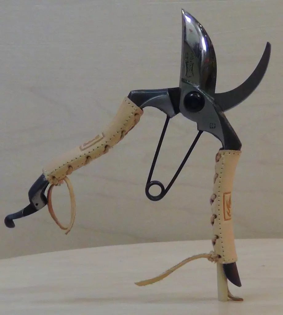 hand pruner