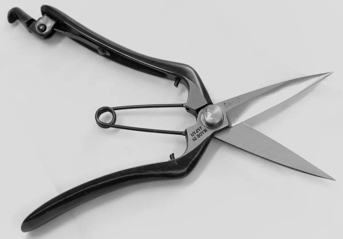 bud shears