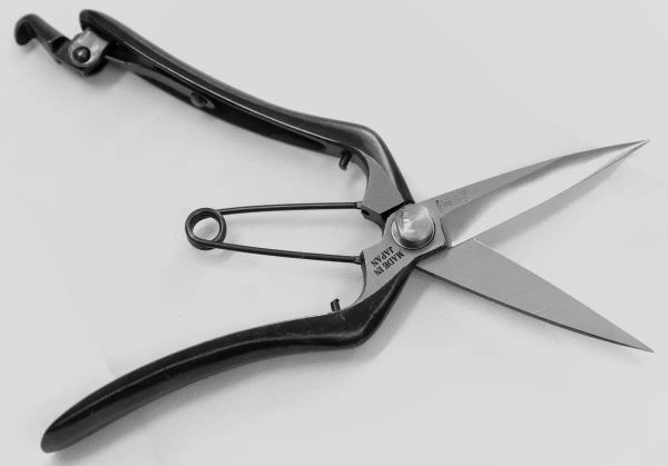 bud shears