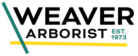 Weaver Arborist logo