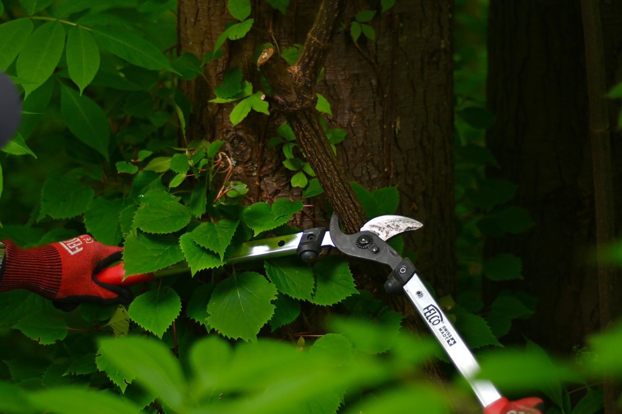 FELCO brand information