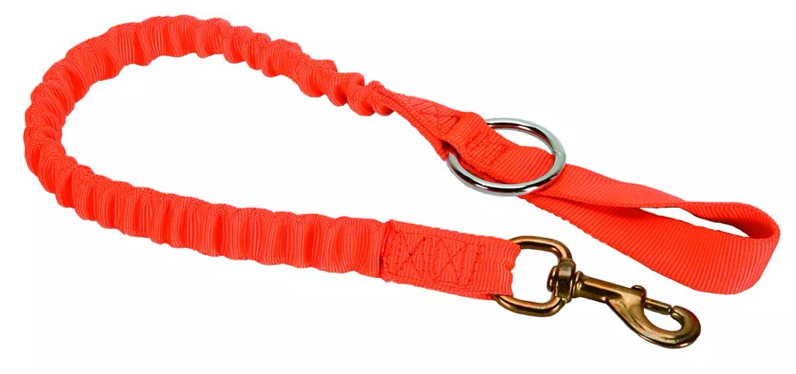 bungee chain saw strap