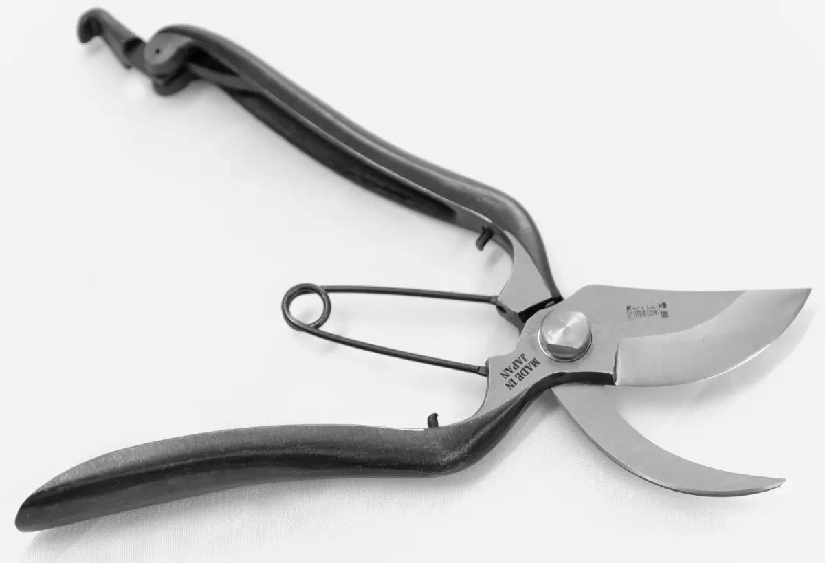 bypass pruning shears