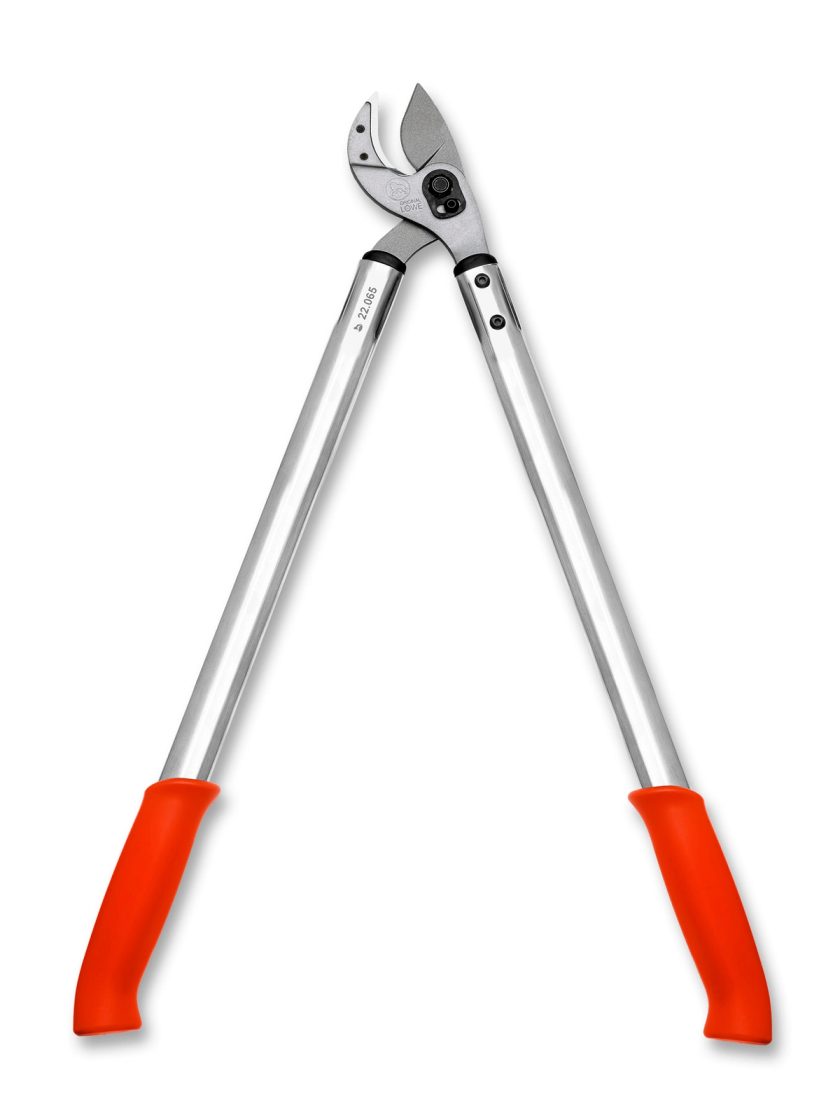 rogue 22 anvil lopper