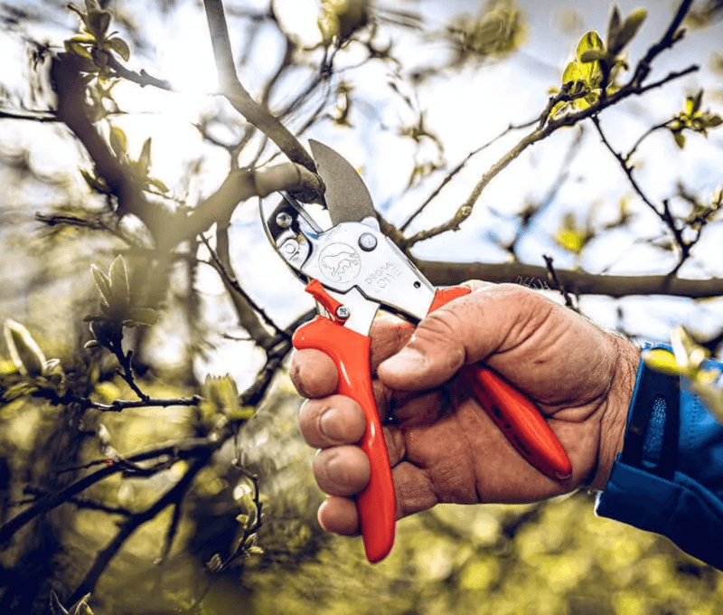 Pruning & Gardening category information