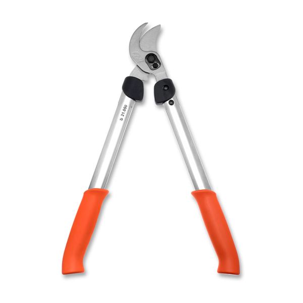 lowes-lopper