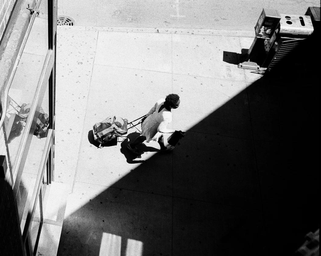 Woman walking with dog and trolley in the day