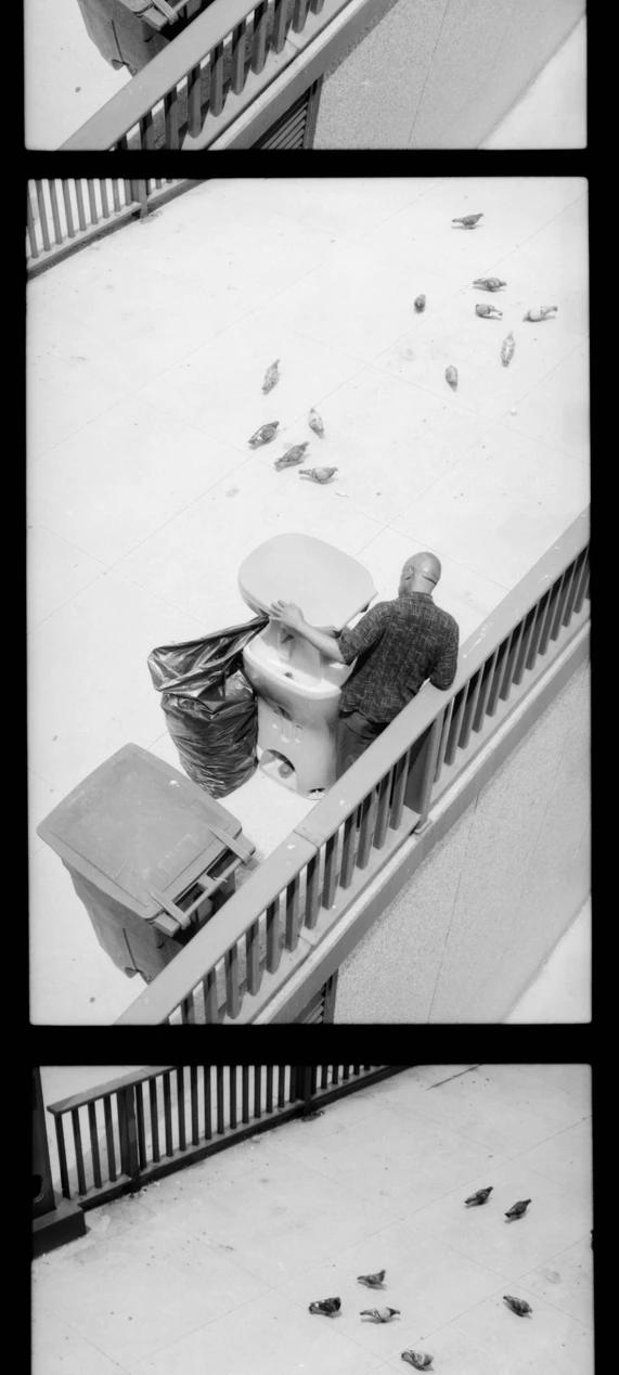 Man emptying trashcans in the middle of the day with pigeons in the background