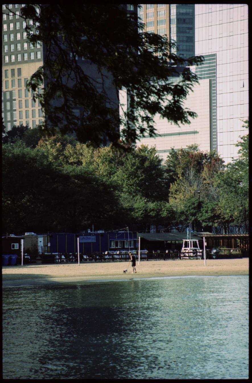Looking across a body of water in a city