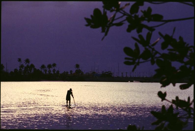 a man on his paddle board in the middle of the ocean with palm trees in the background