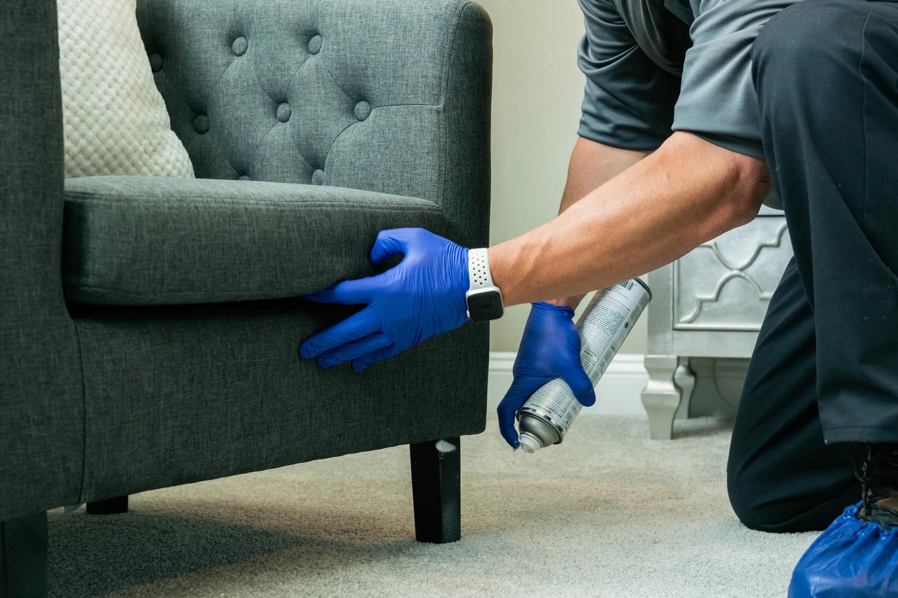 Amco Ranger spraying on carpet and chair 