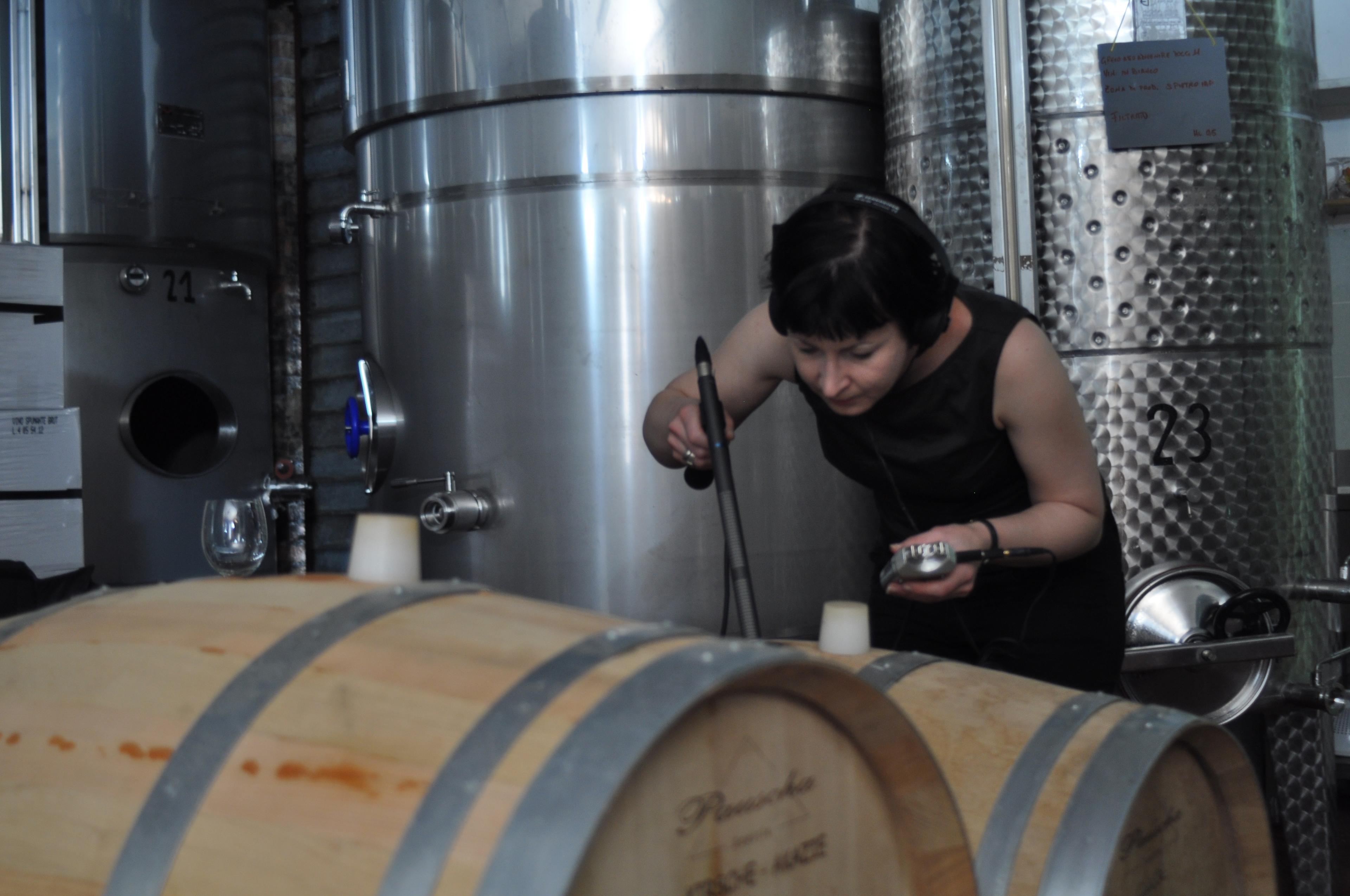 FARM / Interferenze 2012