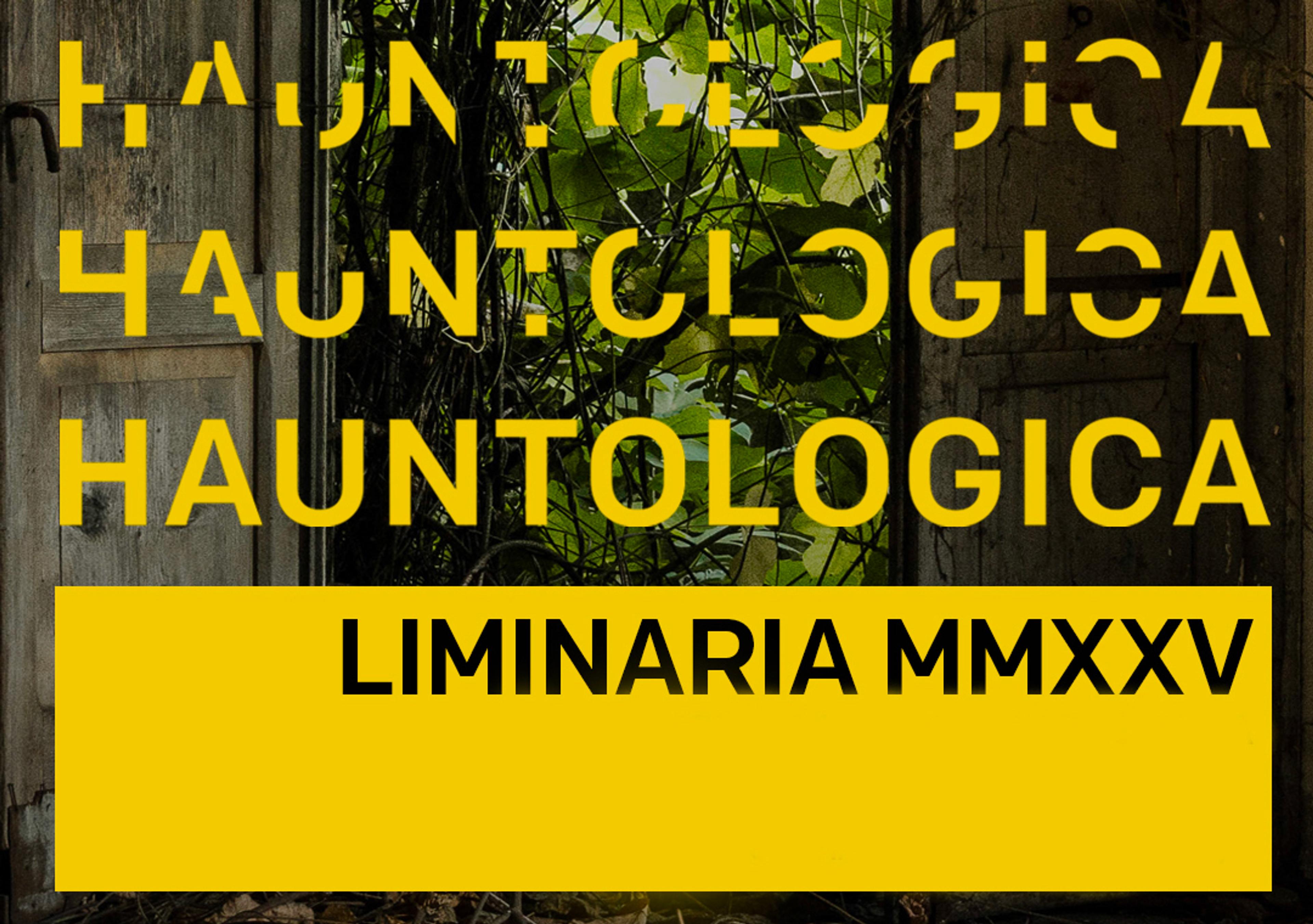Liminaria 2025: Hauntologica