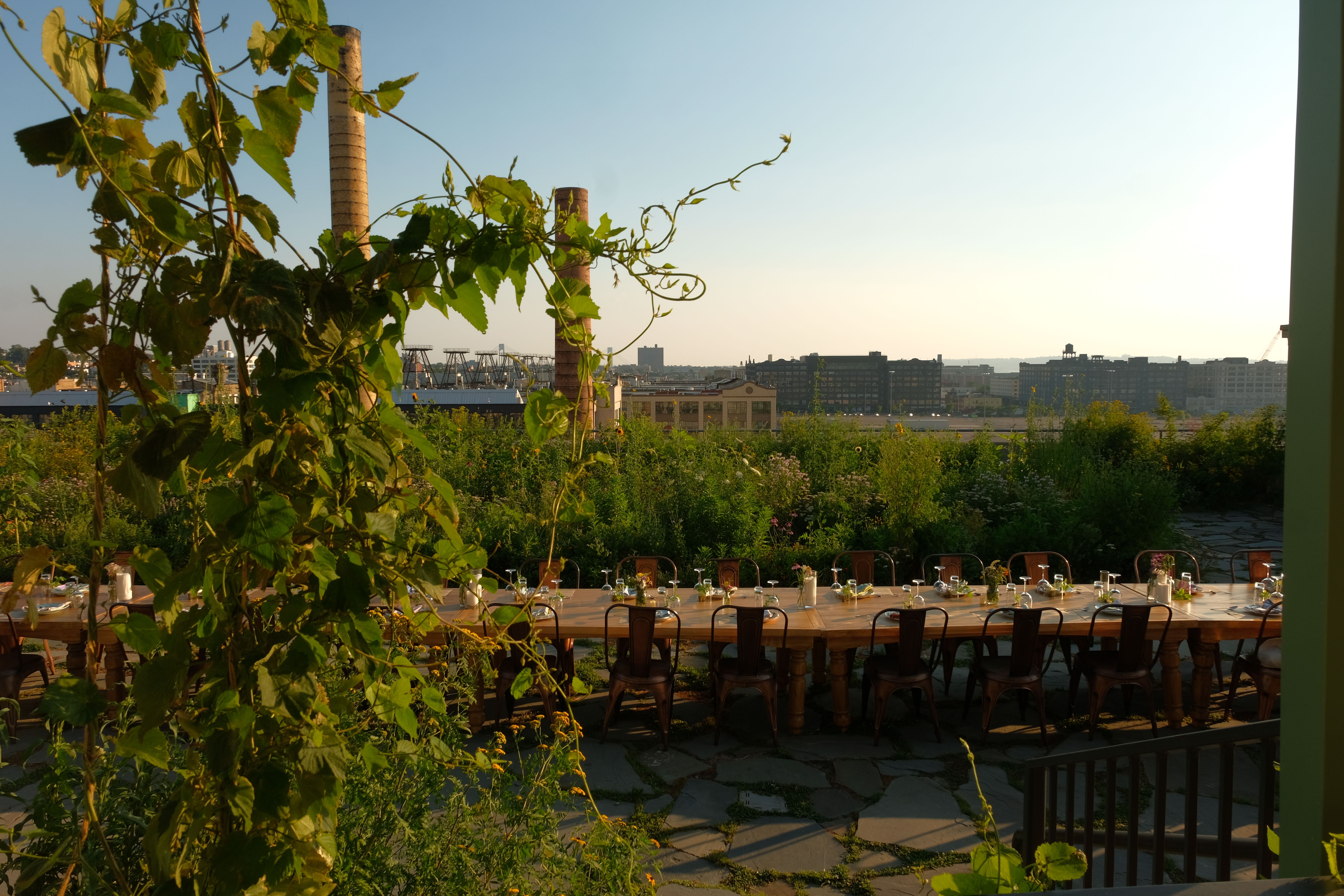 The Rooftop Farm That's NYC's Most Unexpected Third Space