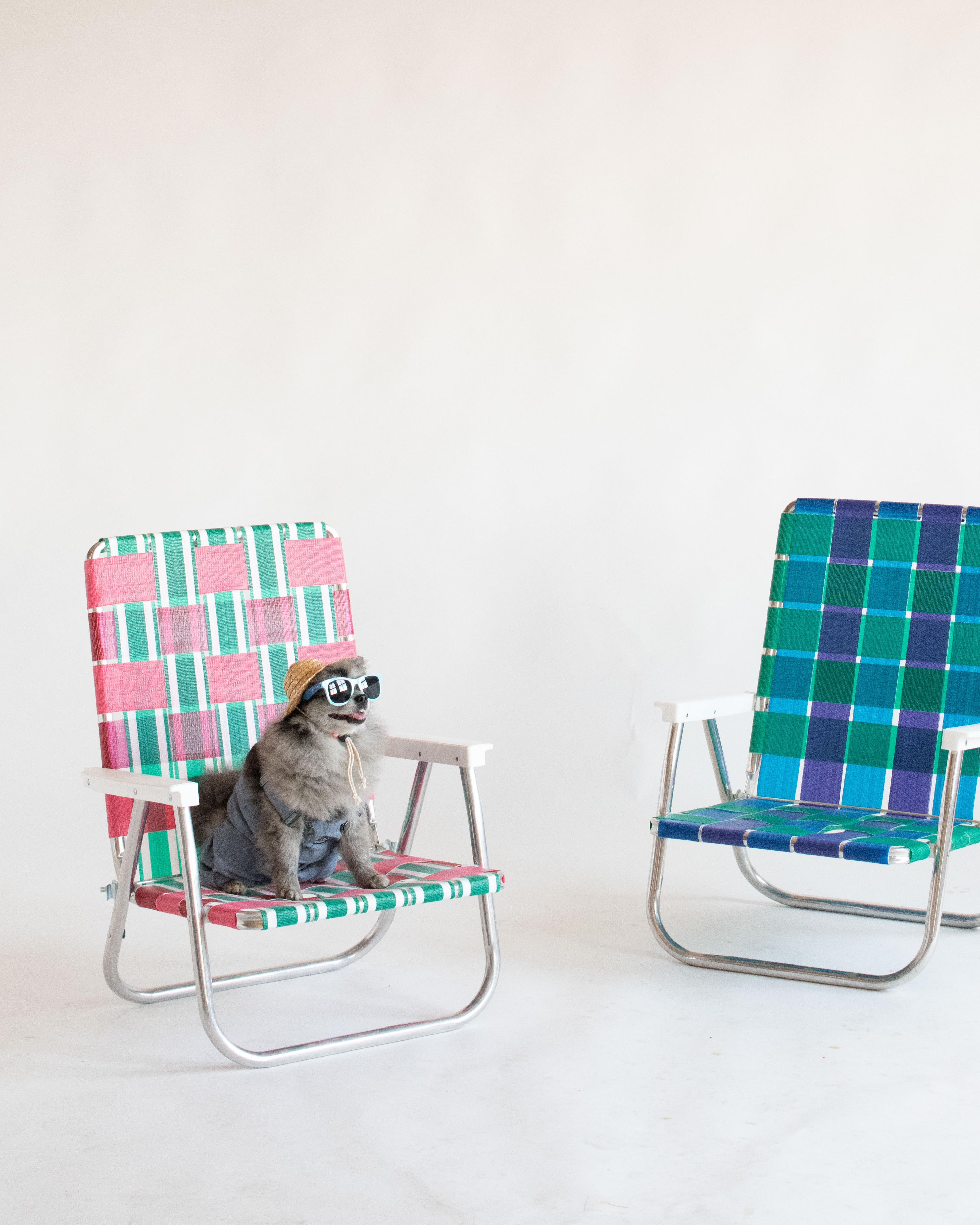 A dog in sunglasses on a deck chair.