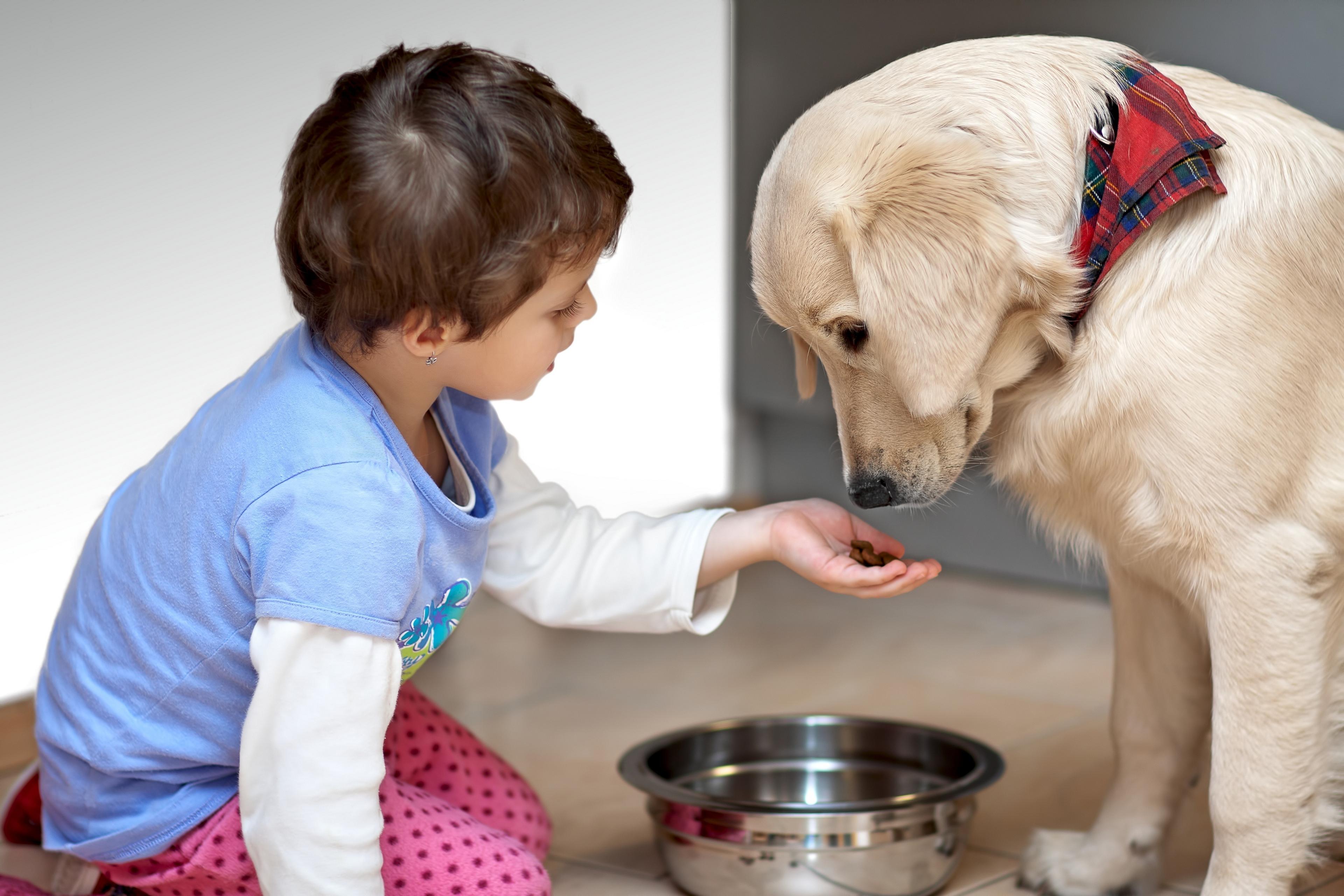 A young child feeds a dog from a bowl. 