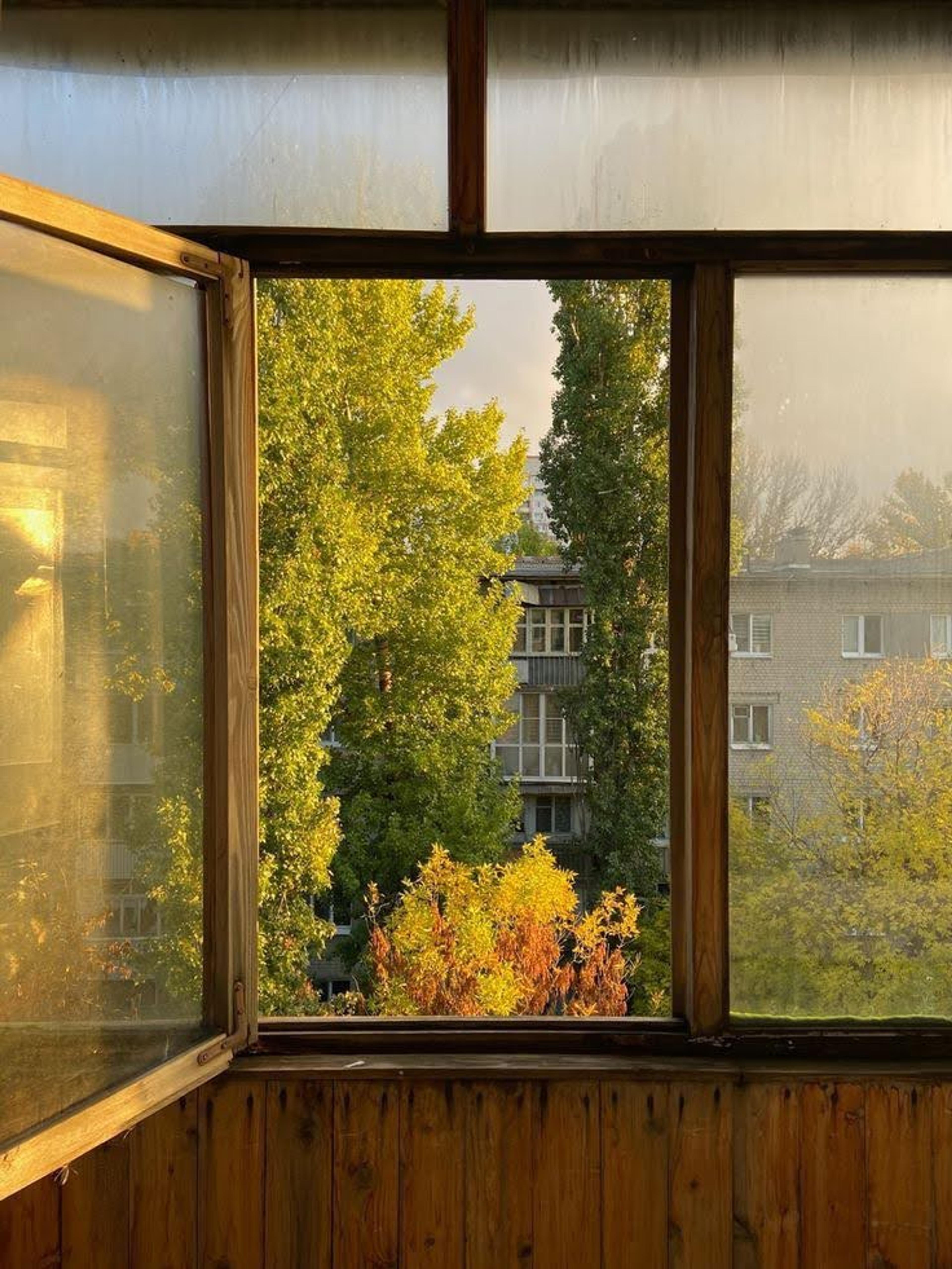 fall landscape out bedroom window