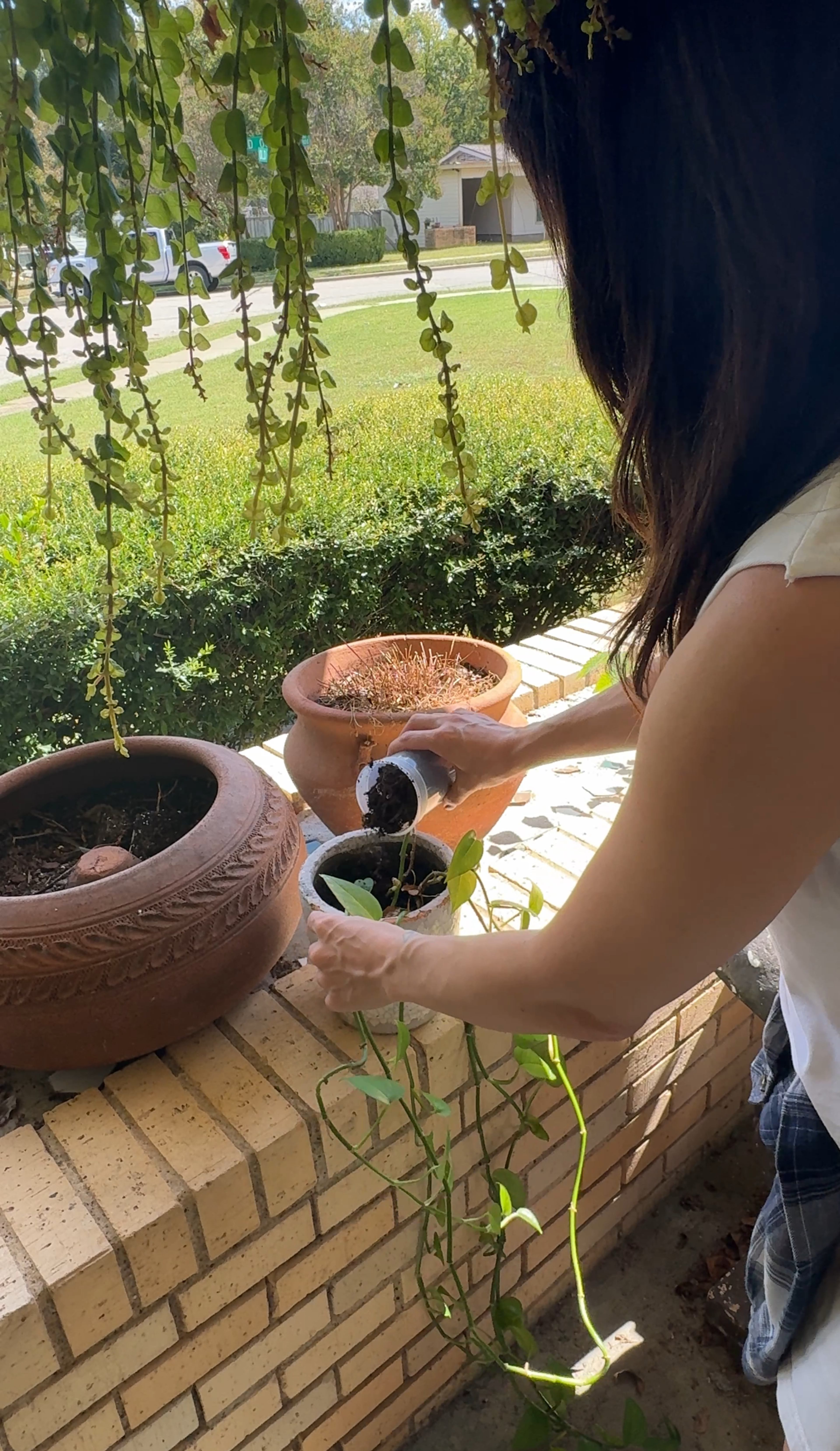 watering plants
