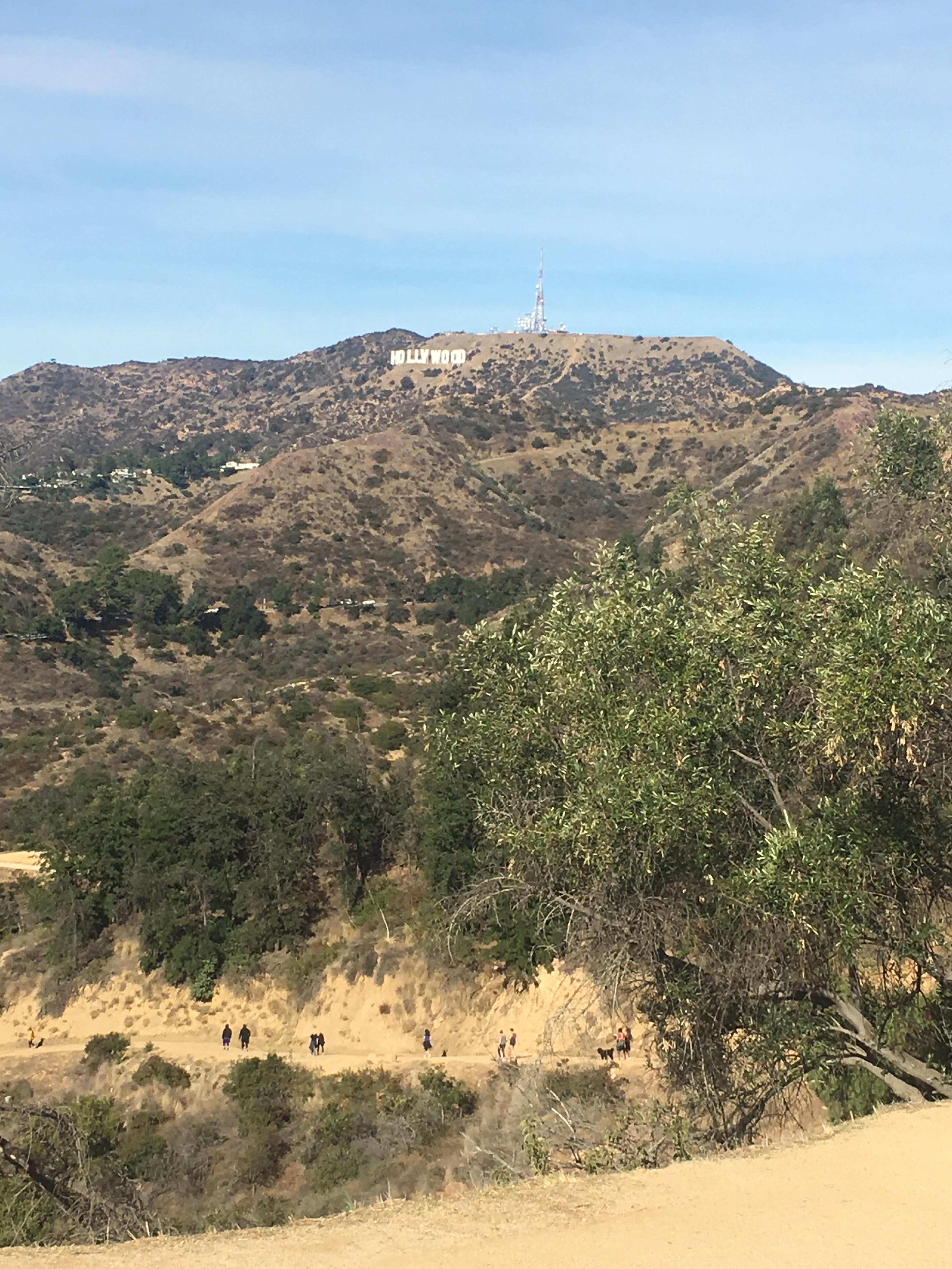 hill in LA