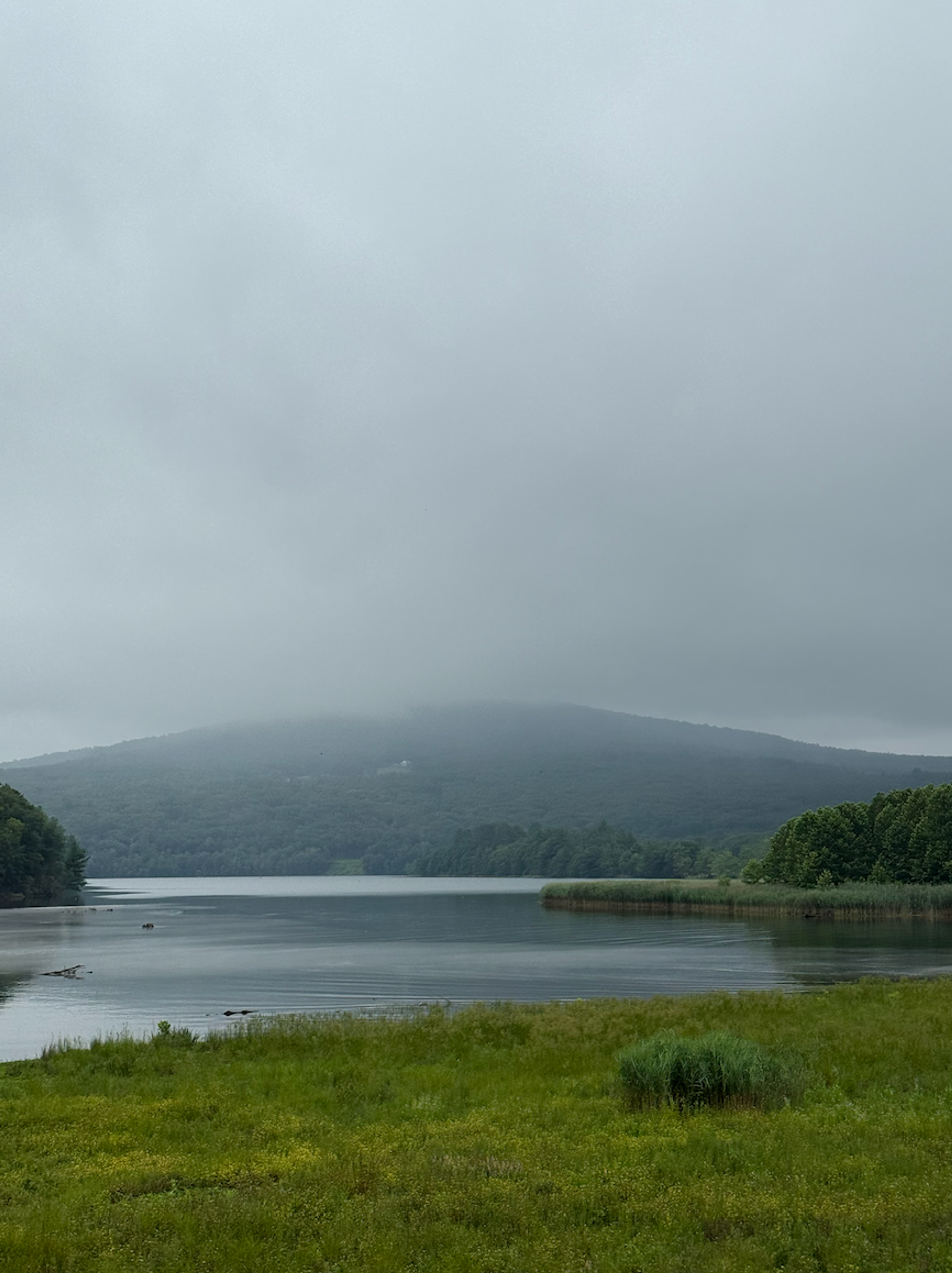 outside landscape around NY