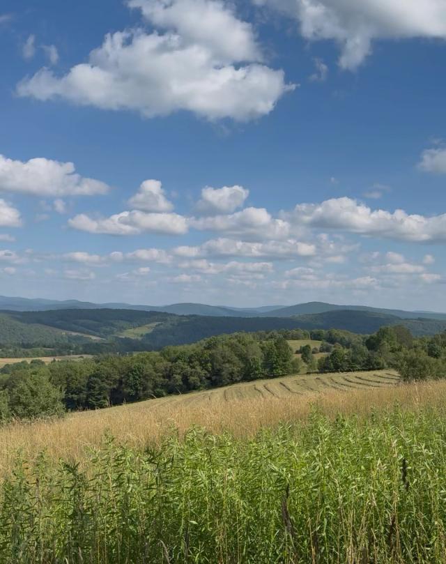 Farm in the Catskills